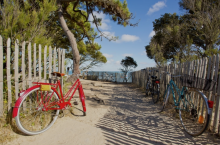 Location vélo à Sète